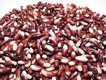 Maybe you would like to learn more about one of these? Kacang Kacangan Wikipedia Bahasa Indonesia Ensiklopedia Bebas