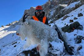 Planning a Mountain Goat Hunt — Where to Hunt as a Non-Resident – Exo Mtn Gear