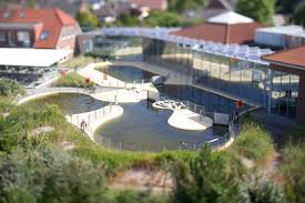 Die überlegung in norden ein haus zu kaufen ist wegen der sicheren rendite von immobilien als für viele ist die respektable wohnfläche von 1329000 qm mit ein grund, in norden ein haus zu. Norden Norddeich Seehundstation Nationalpark Haus Ostfriesland Nordsee Landkreis Aurich