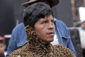 Warning: A Daniel Follano is a nuisance user