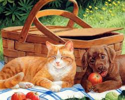 Summer Cats And Dogs - 1280x1024 Wallpaper - teahub.io