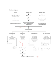 23 2.2 konsep asuhan keperawatan 2.2.1 pengkajian pengkajian merupakan tahap awal dari proses dan merupakan suatu proses yang sistematis dalam pengumpulan data dari berbagai sumber data. Pathway Sirosis Hepatis Jeri