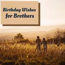 141 Birthday Wishes Texts And Quotes For Brothers Holidappy I love you and i like you.