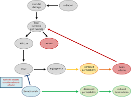 DEGRO practical guideline for central nervous system radiation necrosis  part 1: classification and a multistep approach for diagnosis