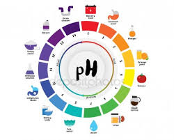 Ph Scale Stock Images Royalty Free Ph Pictures