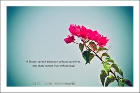 Perhaps, you are not sure what to say in your message. Thankful Quotes For Flowers Quotesgram