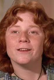 The Partridge Family" Danny Drops Out (TV Episode 1974)