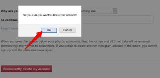 Check spelling or type a new query. How To Delete An Instagram Account
