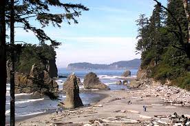 We have reviews of the best places to see in olympic national park. Olympic National Park Argus Reisen