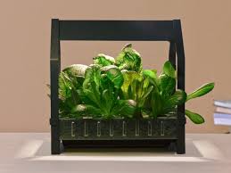 Purchase the ikea muskot 7 1/2 inch plant pot. Ikea Wants To Put A Hydroponic Garden In Every Home Kitchen Eater