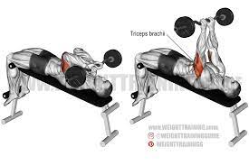 Check spelling or type a new query. Decline Ez Bar Skull Crusher Instructions And Video Weight Training Guide