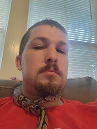 Ball pythons as neck pets for owners