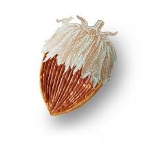 Epiphanie 2020 Les Meilleures Brioches Et Galettes Des Rois Galette Des Rois Noisette Meilleure Galette Des Rois Galette Des Rois
