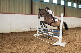 Passion Equitation La Presse