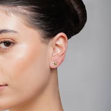 Everyday Adventure Collection