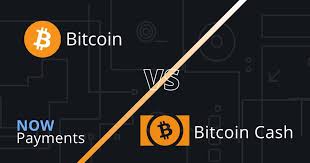 The bitcoins have only one mining pool, whereas the bitcoin cash has three mining pools. Difference Between Bitcoin And Bitcoin Cash Nowpayments