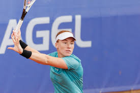 Image result for Seidelia