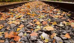 L'indice rt infatti è sceso a 0 se il piemonte diventerà zona gialla non ci saranno più limitazioni per gli spostamenti tra comuni. Il Treno Del Foliage In Valle Vigezzo Ti Chiamo Quando Torno