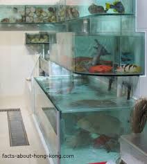 Hong Kong Seafood Restaurants Seafood Restaurant Restaurant Seafood