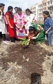 It is all by the blessings and mercy of sri chaitanya mahaprabhu as we happily welcome you all to sri mayapur gaura purnima 2021. Tradition In Nashik Gets A Green Spin Women Plant Banyan Saplings On Vat Savitri Pooja Swachh Warriors
