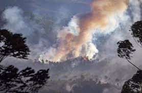 Lo que aduanas retiene en operativos. Incendios Forestales Activos Hoy En Espana Incendio De Hoy Europa Press