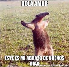 Memes Buenos Dias Amor 7 Memes De Buenos Dias Memes Memes Buenisimos