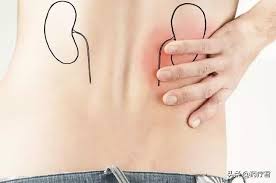 We did not find results for: Can People With High Urine Protein Eat Eggs Don T Panic 2 Minutes To Teach You To Understand Proteinuria Daydaynews