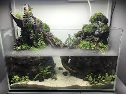 First Paludarium Set Up Plantedtank Garden Types Aquascape Garden