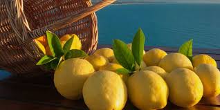 Limone di Sorrento – Fattoria Terranova Shop