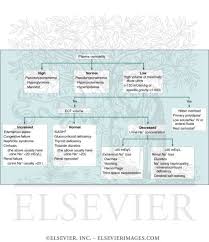 Hyponatremia The Most Common Electrolyte Abnormality Ever