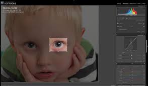 E-5 extreme crop: Olympus SLR Talk Forum: Digital Photography Review