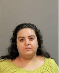 ᐅ Illinois Criminal Records 2009-2025