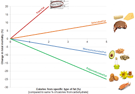 Different Dietary Fat Different Risk Of Mortality The