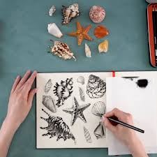 How to draw a seashell step by stephow to draw a seashell articco drawing,how to draw a seashell for kids,how to draw a seas. Make This Incredible Seashell Drawing Arteza