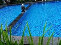 Khususnya obyek wisata kolam renang maupun air terjun itu harus terjamin, sehingga wisatawan merasa tenang dan aman ketika berkunjung. Wisata Kolam Renang Lombok Timur