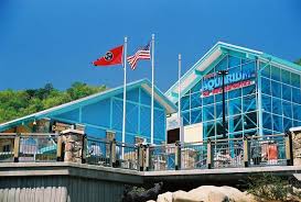 The popular gatlinburg aquarium took second place in usa today's list of the 10 best aquariums in north america. Top 3 Tips For A Great Day At Ripley S Aquarium Of The Smokies
