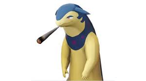 Stoned Typhlosion | Know Your Meme