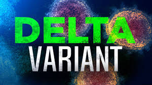 Hint varyantı olarak da bilinen delta varyantı nedir? T45rtwck 4iihm