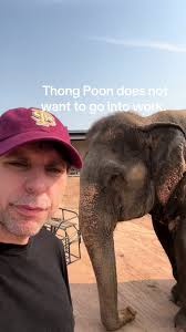 Support Thong Poon's Journey to Freedom at Sanctuary