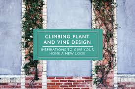 Here are our favorite flowering vines for any garden space. 50 Climbing Plant And Vine Design Ideas To Give Your Outdoor Area A New Look Home Improvement Cents
