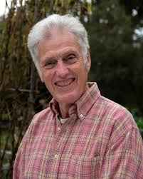 Workshops at the festival 2025