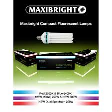 A wide variety of cfl grow light options are available to you, such as lighting and circuitry design, dialux evo layout, and auto cad layout. Maxibright Cfl Lamps Fluorescent Grow Light Bulbs Somerset Hydroponics