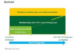 Program Perlindungan Jiwa Seumur Hidup Dari Pt Asuransi Jiwa Manulife Indonesia Dengan Masa Pembaya Asuransi Jiwa Asuransi Hidup