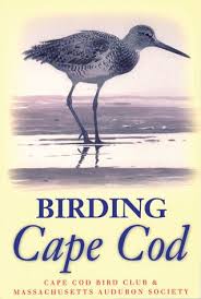 Birds Of Cape Cod Book Birding Cape Cod Cape Cod Vacation Cape Cod Cape