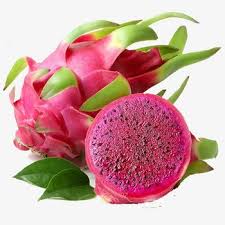 It's no surprise that it's regarded as a superfruit, especially the red pulp variety. Pink Fresh Dragon Fruit At Best Price Inr 150 Kilogram In Bhuj Gujarat From Ramjiyani Farm S And Suppliers Id 5661875
