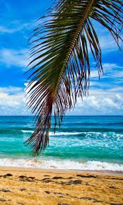 The paradise summer wallpaper hd is the best wallpaper i like to use as my desktop backgrounds. Get Summer Beach Wallpapers Microsoft Store En Tc