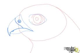 How To Draw A Falcon Head Drawingnow How to draw a falcon in a few easy steps: how to draw a falcon head drawingnow