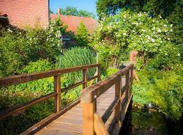 Laut bestimmungen darf nicht jedes haustier im garten bestattet werden. Tierbestattung Diese Moglichkeiten Gibt Es Zooroyal Magazin