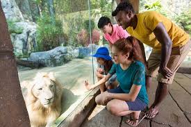 Thematic parks reviews sunway lagoon malaysia. Sunway Lagoon Wildlife Park Picture Of Sunway Pyramid Hotel Petaling Jaya Tripadvisor