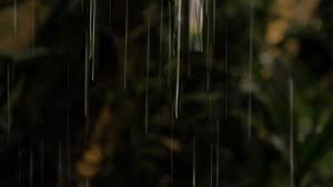 Buy high quality china products online.shopping beauty & health,cell phones,computer& networking and more on aliexpress.com Moss Water Drip Wallpaper Stock Video Footage 4k And Hd Video Clips Shutterstock